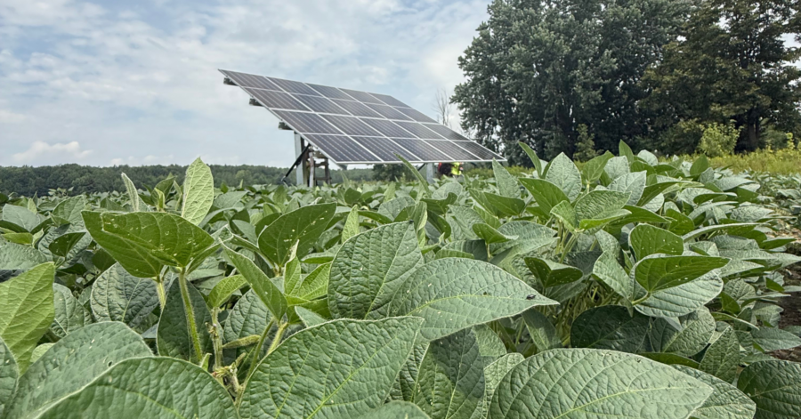 Shining a Light: Celebrating our 2025 Grow Solar Installers