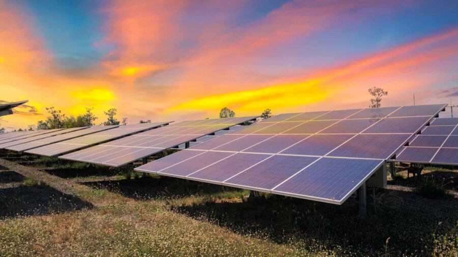 From Newcomer to Solar Entrepreneur